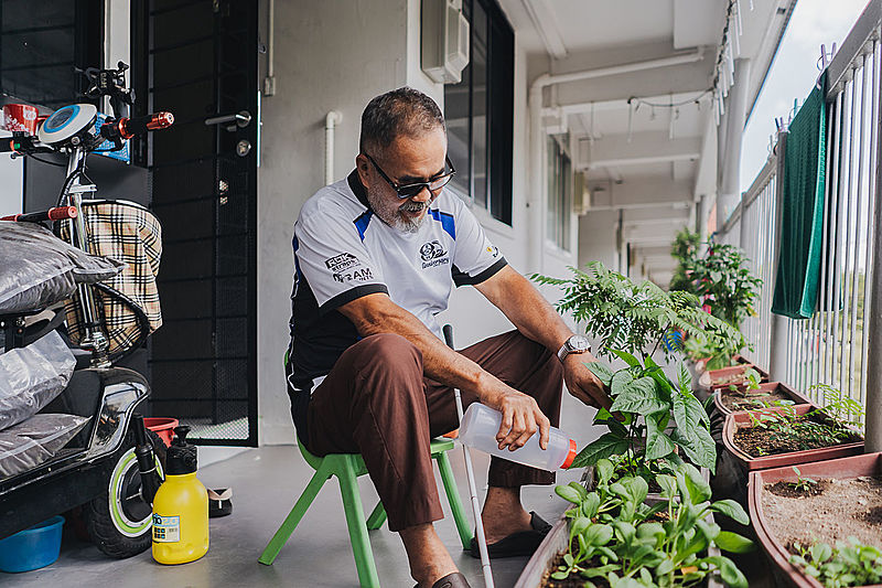 Zaini Mahamod Gardening