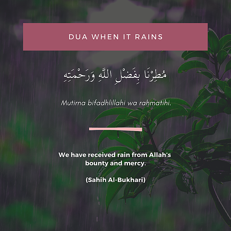 Duas After rainfall with translation